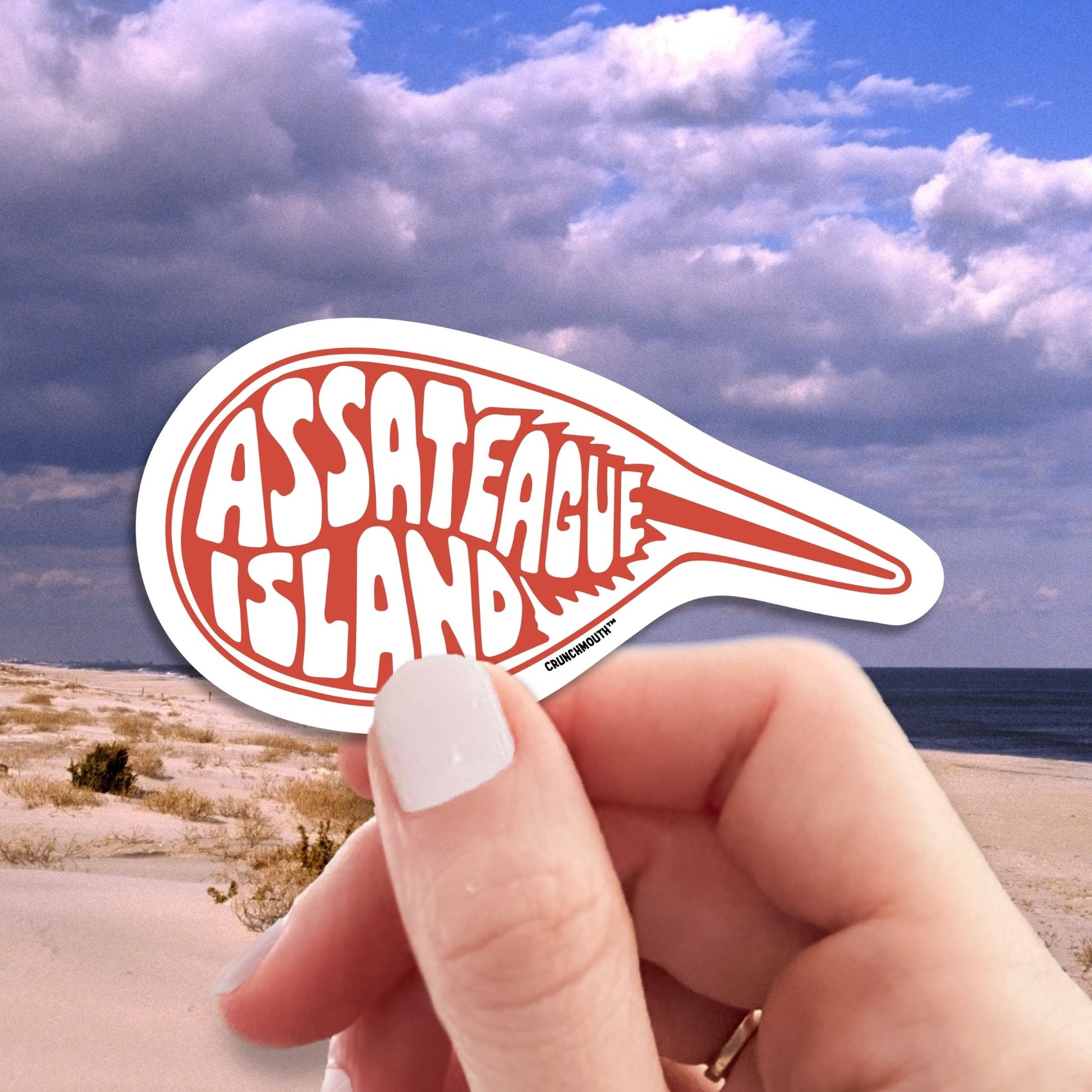 ASSATEAGUE ISLAND HORSESHOE CRAB travel luggage sticker, hand display, ASSATEAGUE ISLAND background
