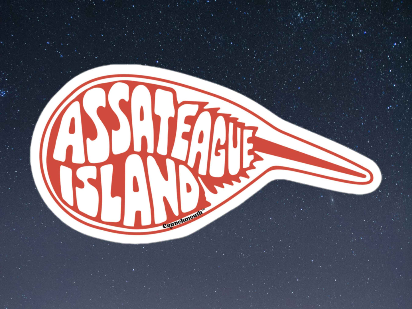 assateague island sticker, travel luggage stickers, starry night sky background