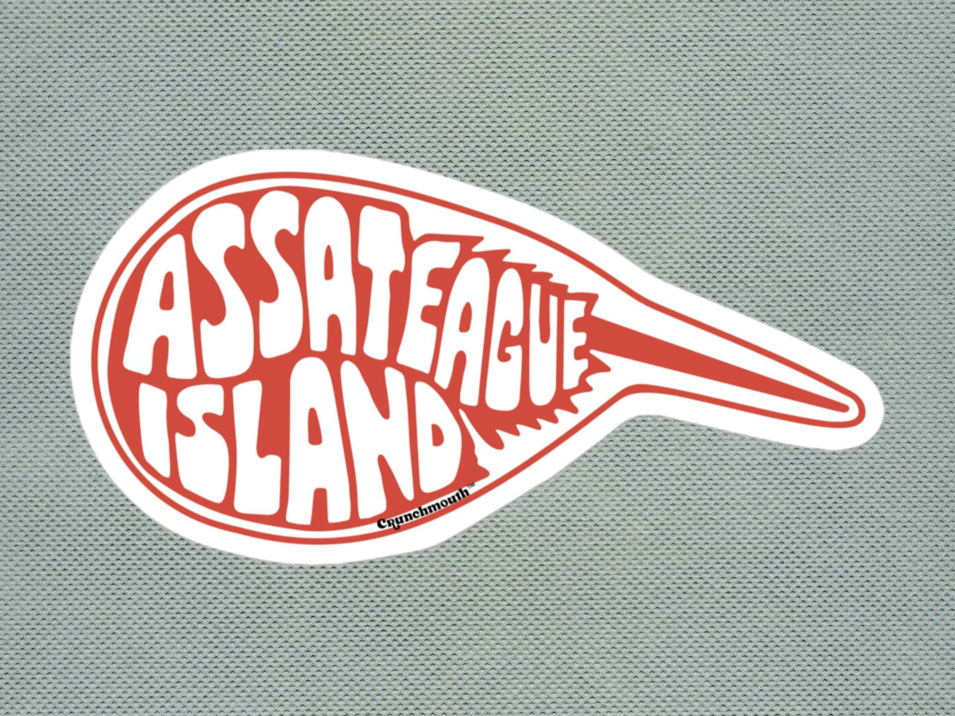 assateague island sticker, travel luggage stickers, silver textured background