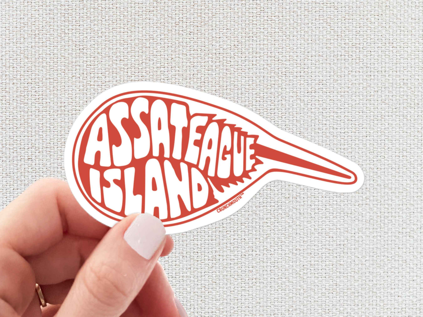 assateague island sticker, hand display, white textured background