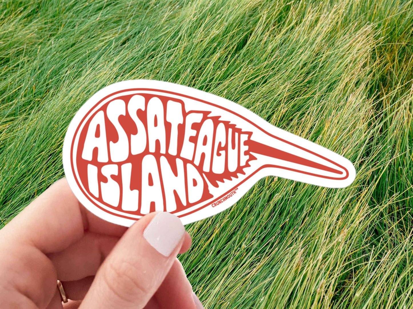 assateague island sticker, hand display, green grass background