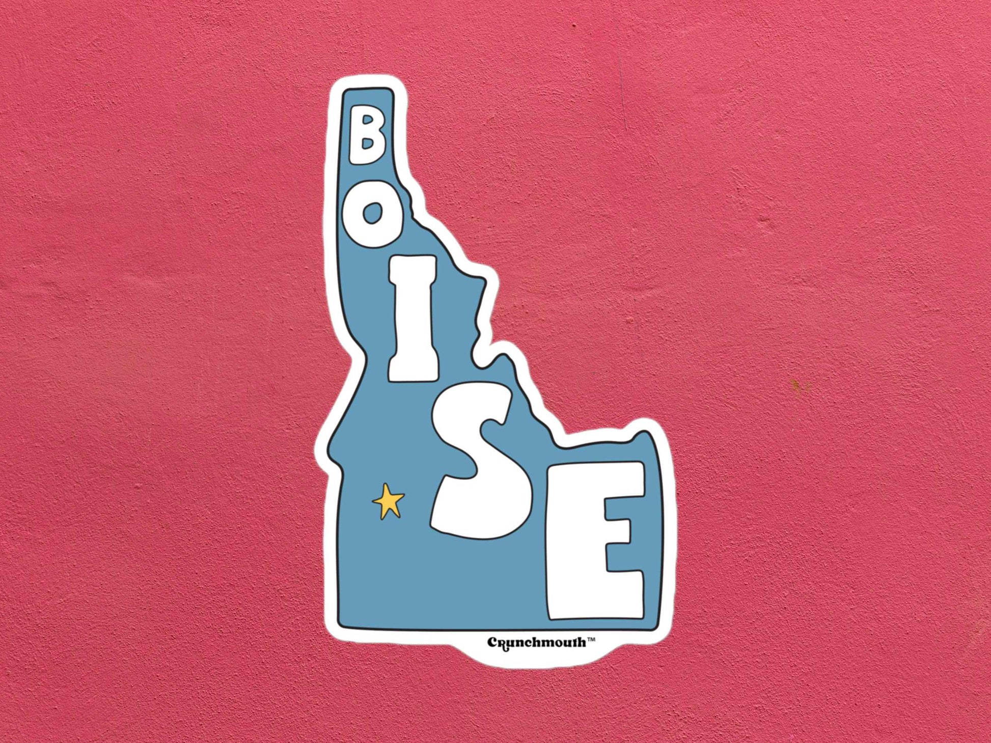 boise sticker, travel luggage stickers, rose color textured background