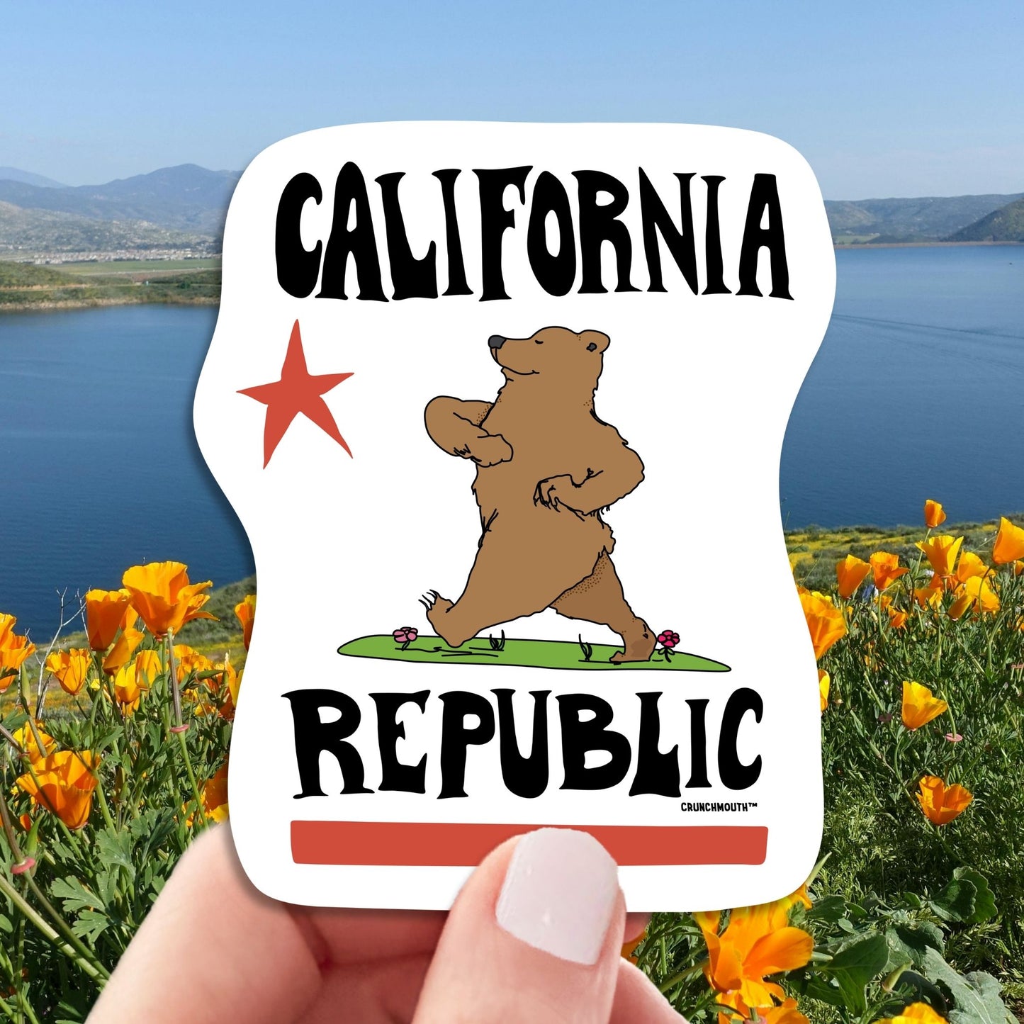 California republic travel luggage sticker, hand display, California poppies background
