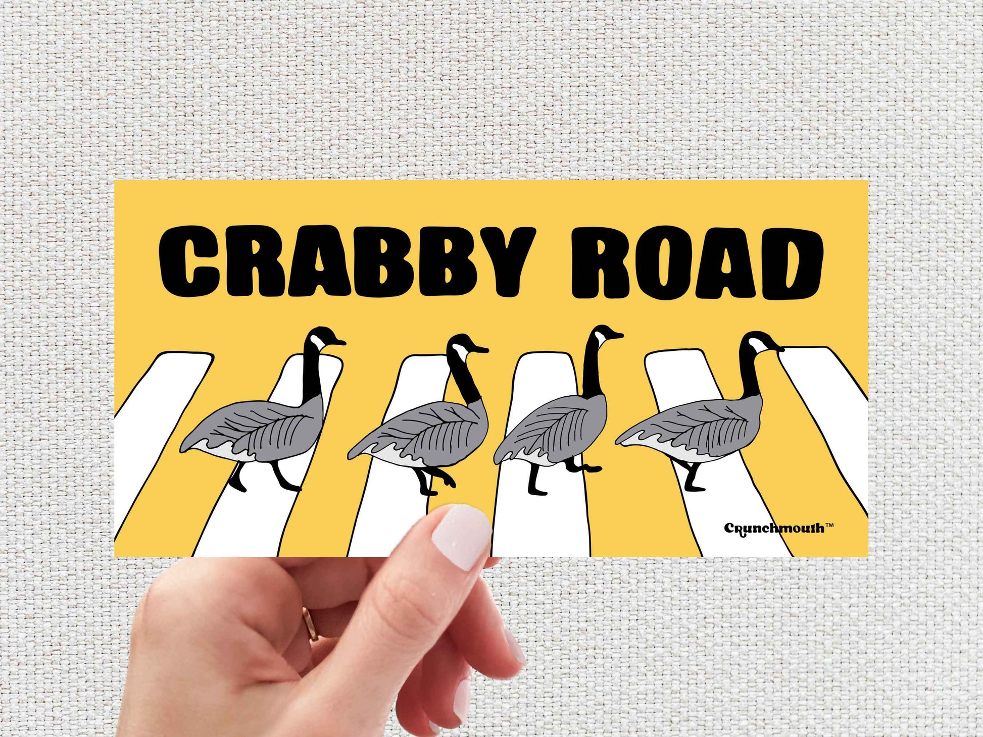 canada geese crabby road bumper sticker, hand display, white textured background