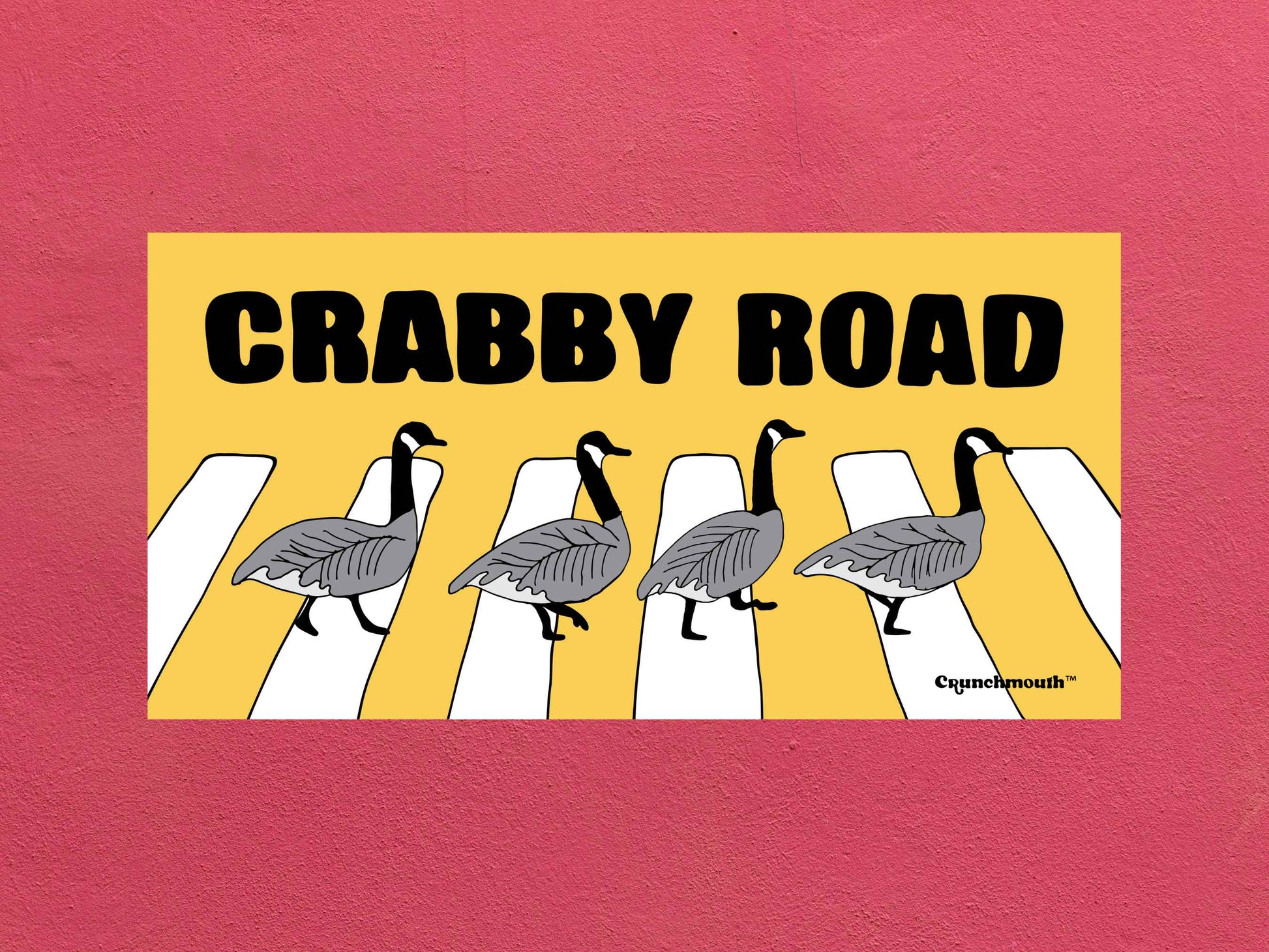 canada geese crabby road bumper sticker, rose textured background