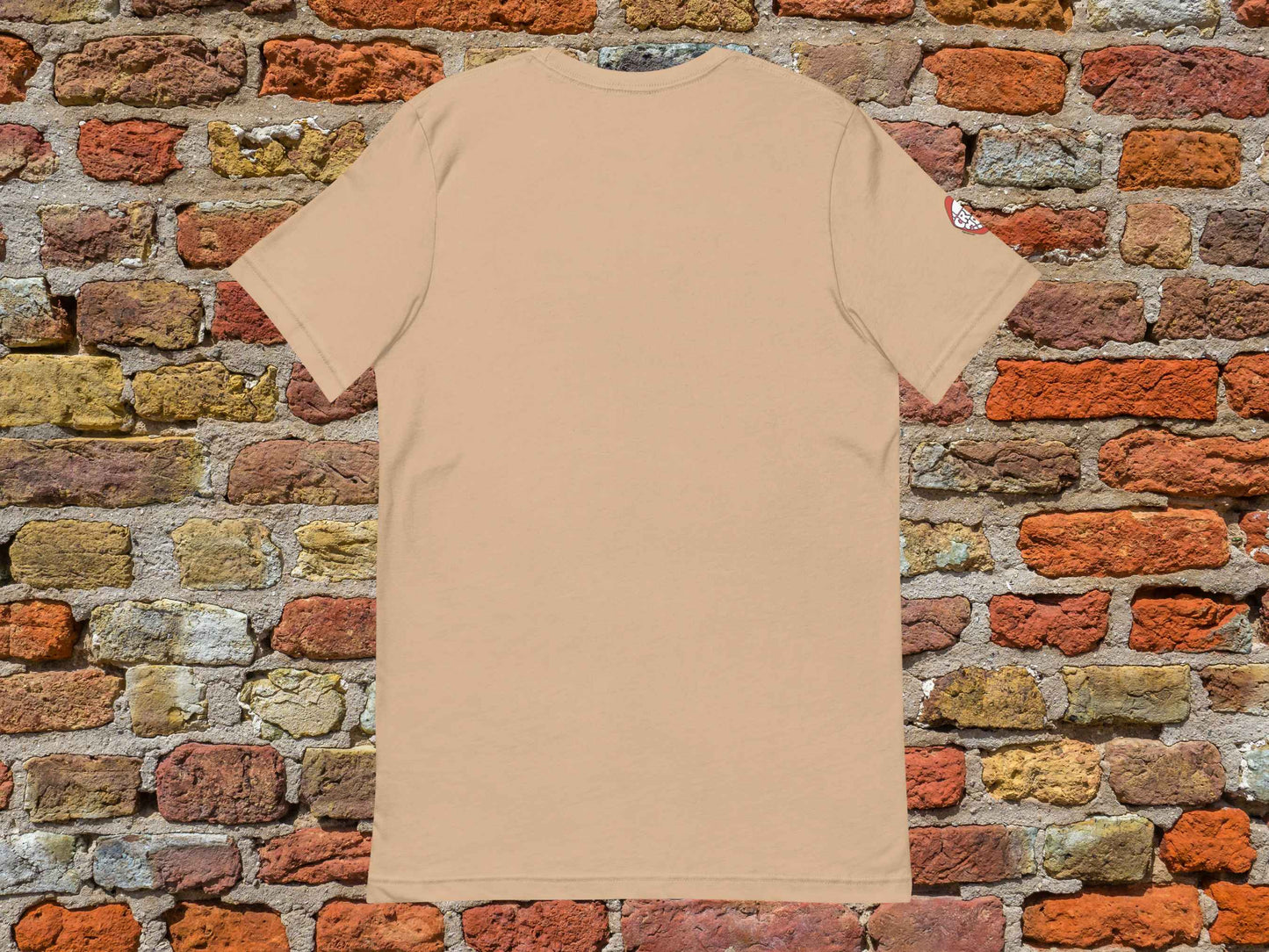 chicago tshirt, retro t shirts, flat, back, red brick wall background