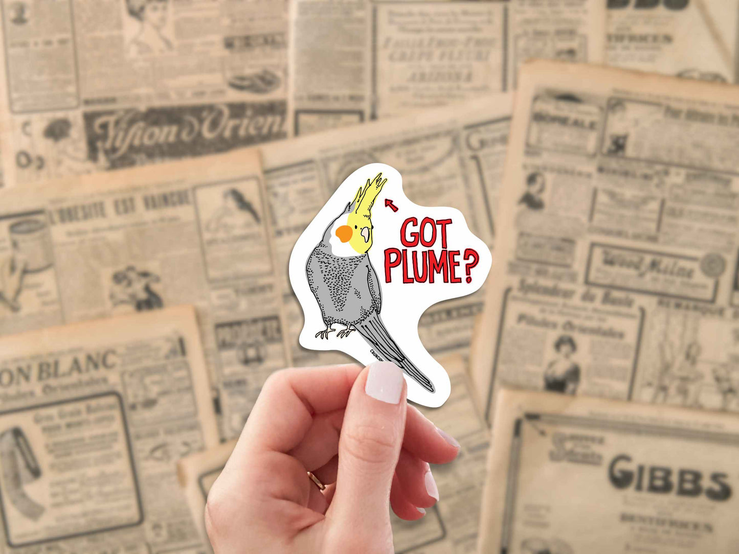 cockatiel got plume funny sticker, hand display, antique newspaper ads background