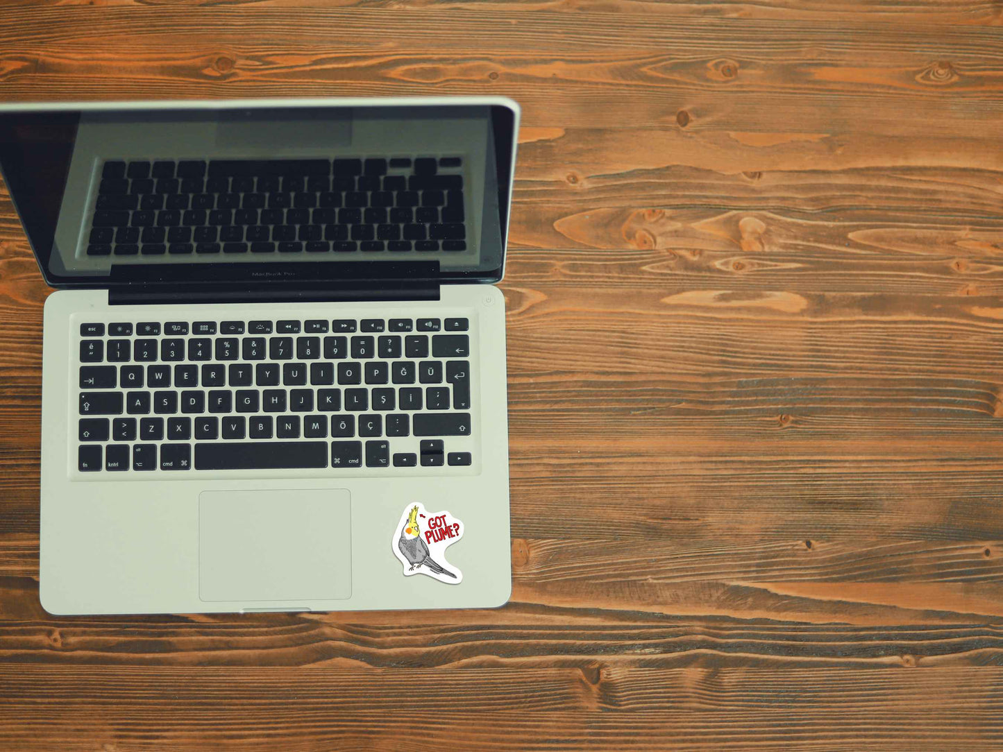 cockatiel got plume funny sticker displayed on laptop