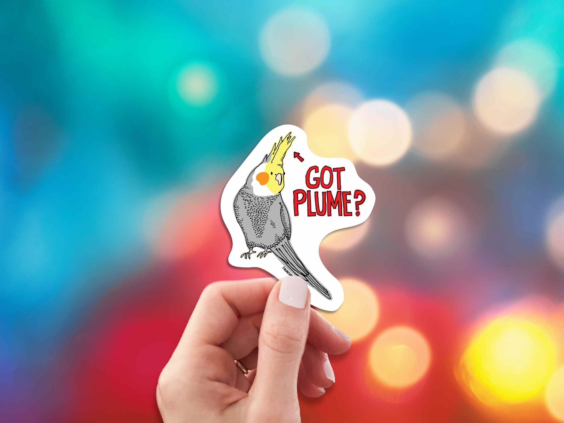 cockatiel got plume funny sticker, hand display, colorful lights background