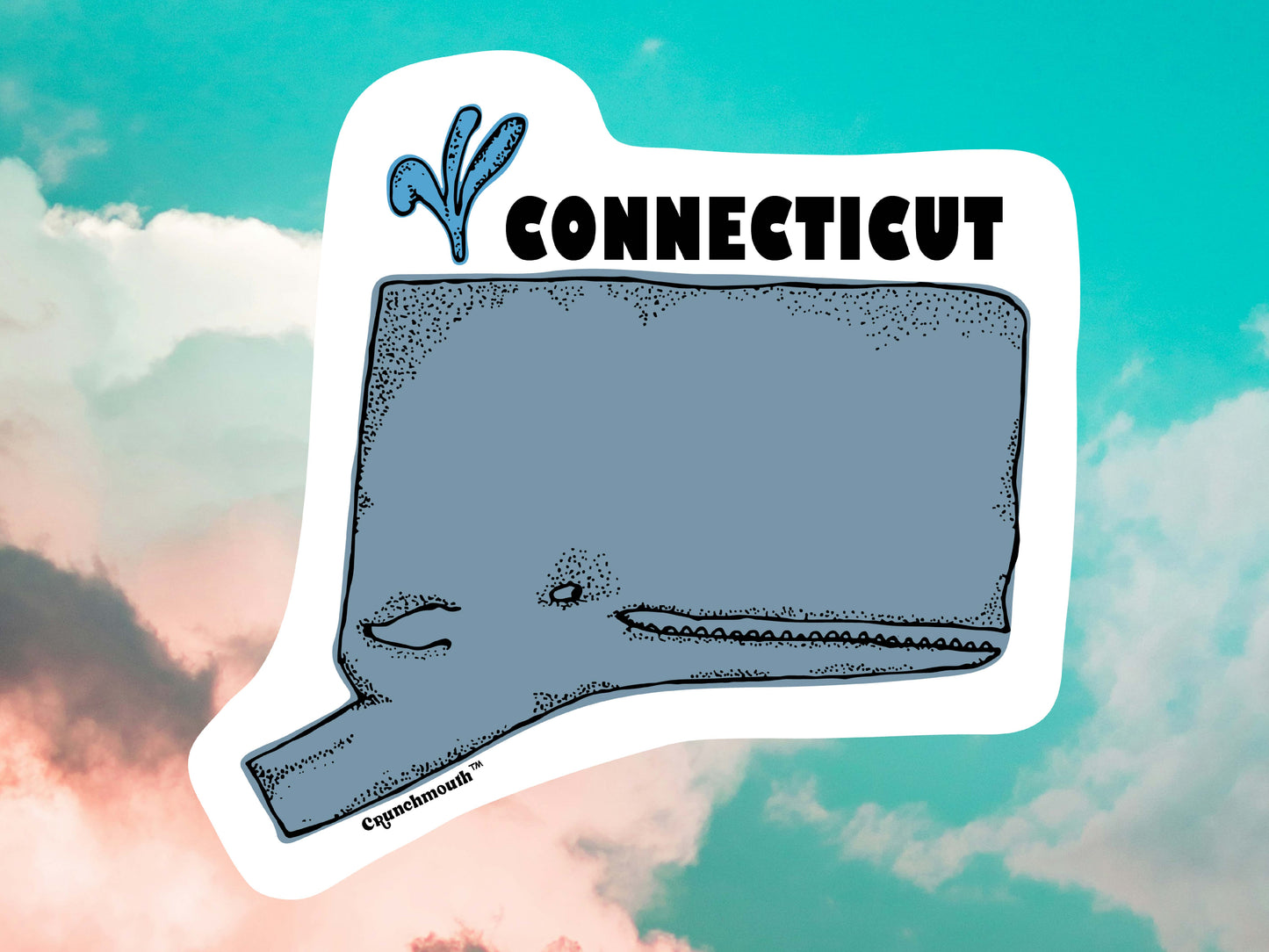 connecticut state whale sticker, cloud sky background