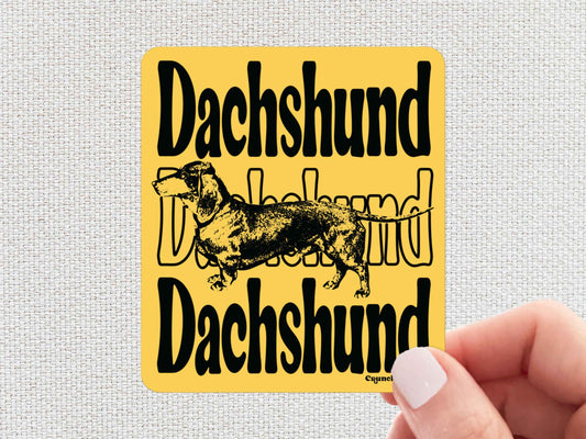 dachshund sticker, hand display, white textured background