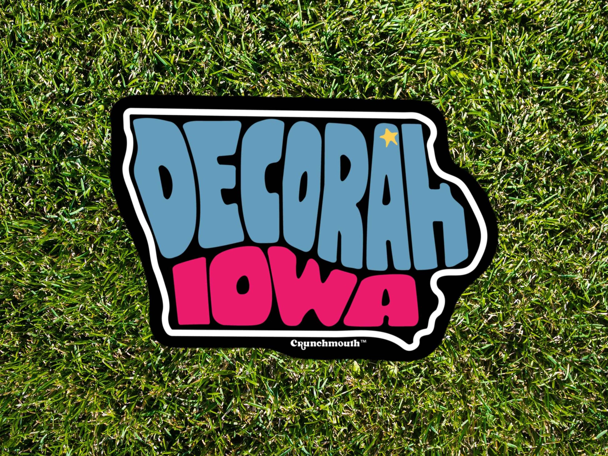 decorah sticker, travel luggage stickers, hand display, green grass background