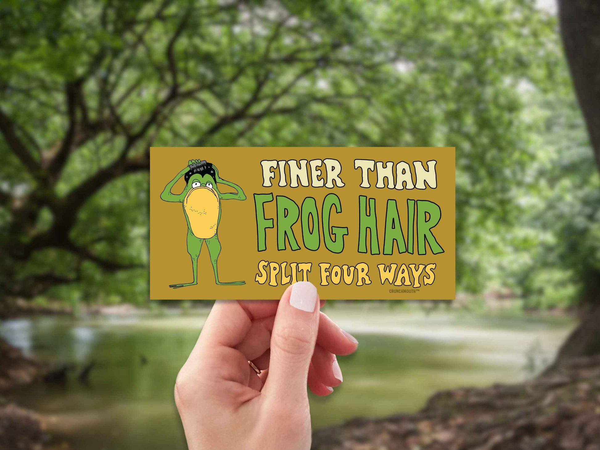 finer than frog hair split four ways bumper sticker, funny greaser frog combing hair, hand display, pond amidst trees background