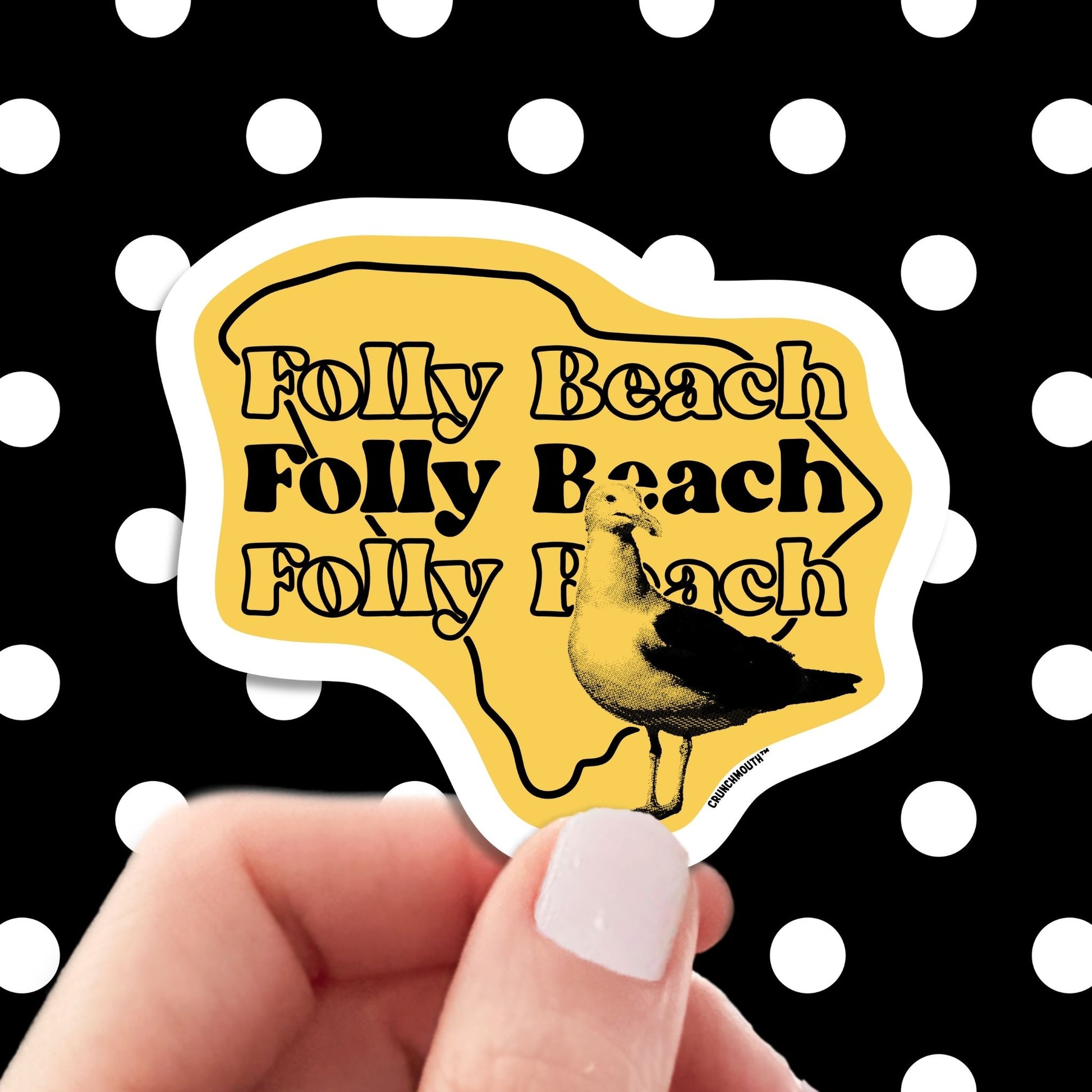 folly beach seagull travel luggage sticker, hand display, polka dots pattern design background