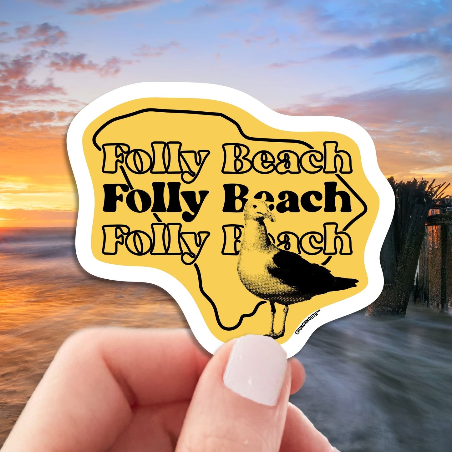 folly beach seagull travel luggage sticker, hand display, sunrise on the beach background
