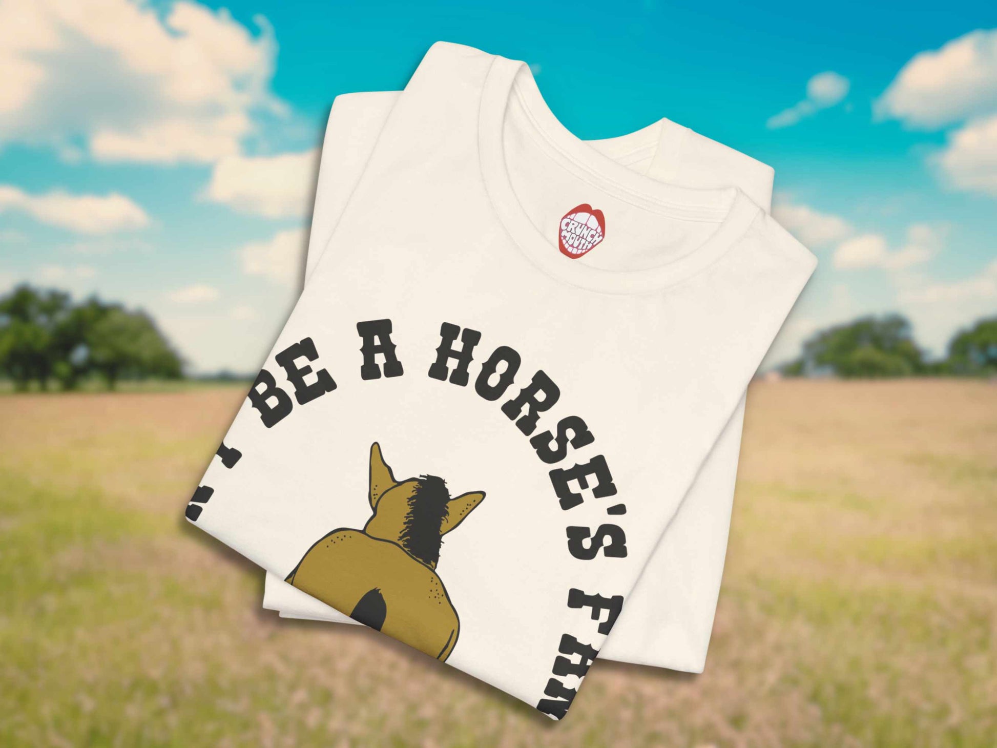 funny horse shirt, don't be a horse's fanny, folded, front, pasture background