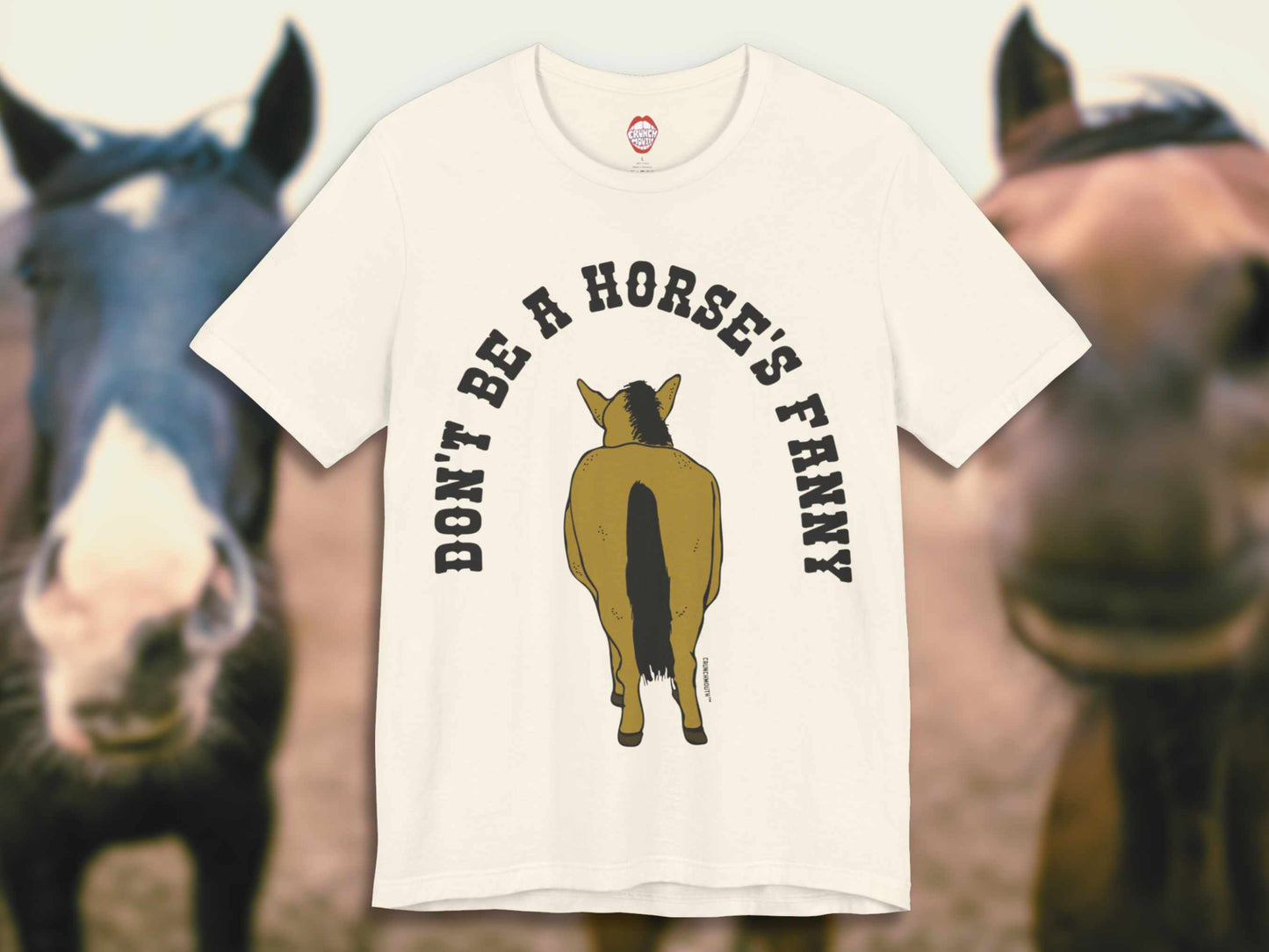 funny horse shirt, don't be a horse's fanny, flat, front, horse background
