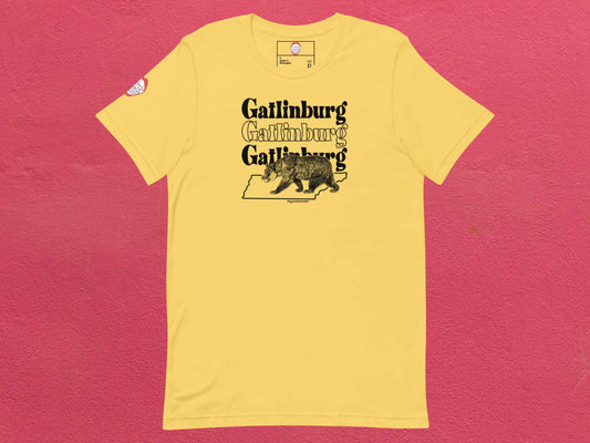 gatlinburg shirt, souvenir t shirts, flat, front, rose textured background