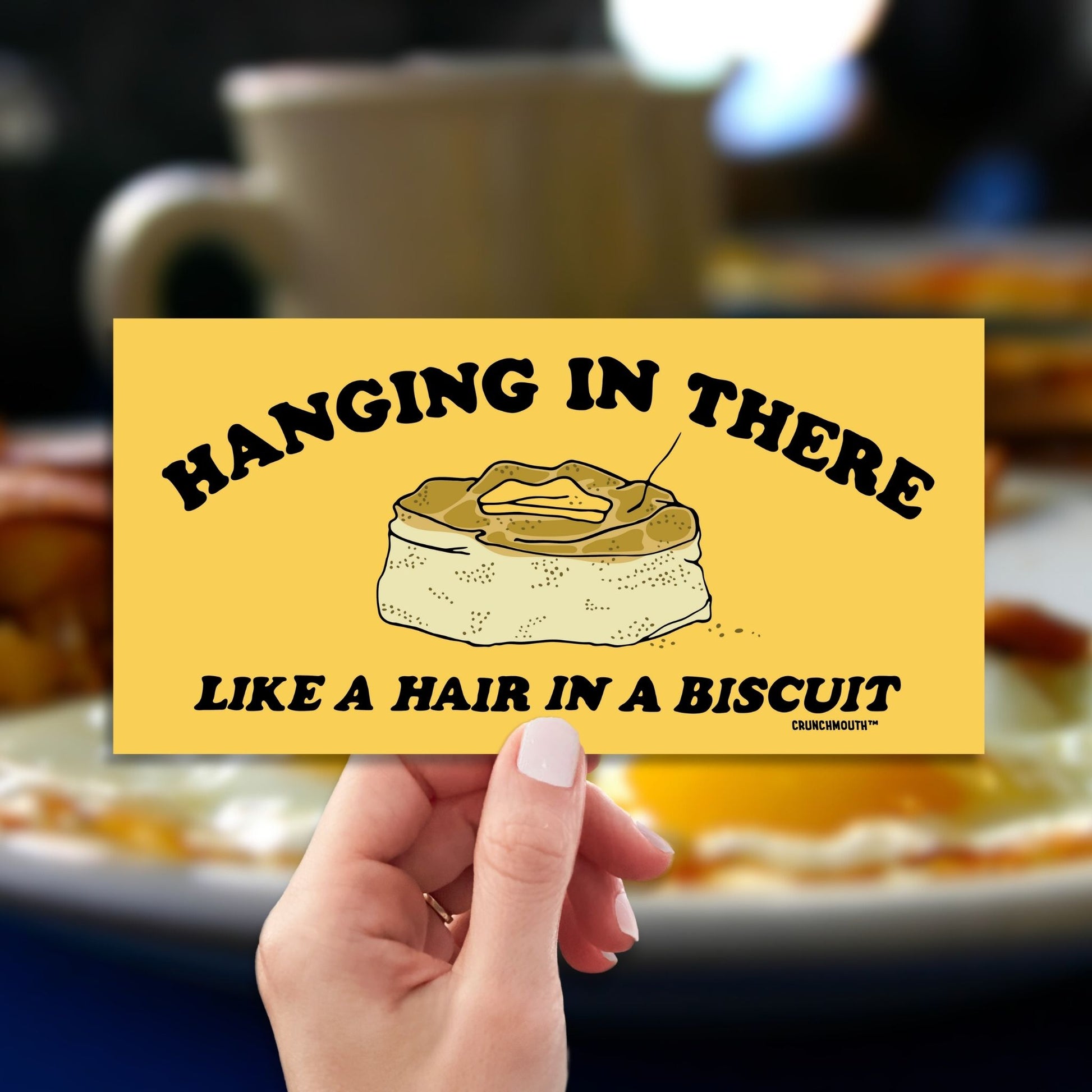 hanging in there like a hair in a biscuit, funny bumper stickers, hand display, country breakfast background