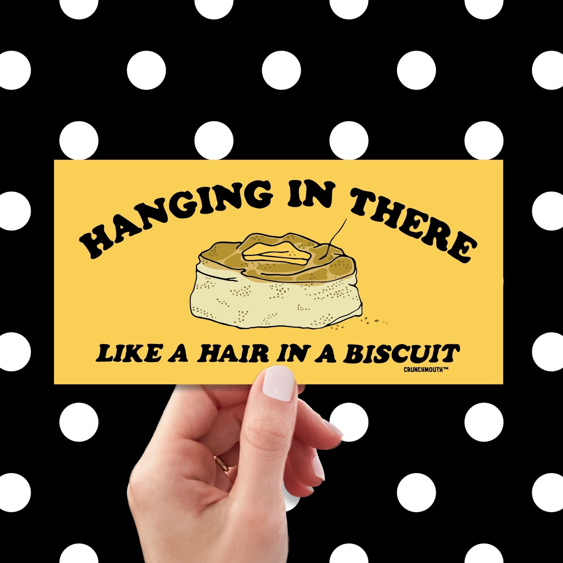 hanging in there like a hair in a biscuit, funny bumper stickers, hand display, polka dots pattern design background