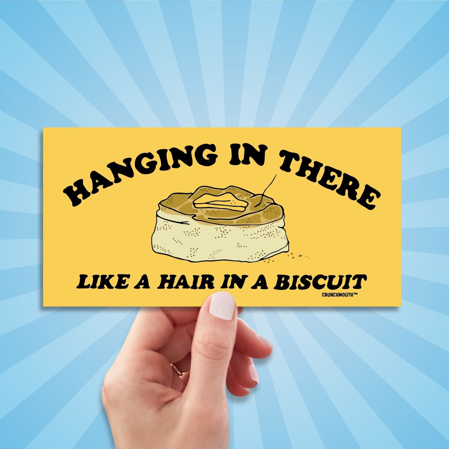 hanging in there like a hair in a biscuit, funny bumper stickers, hand display, sun rays design background