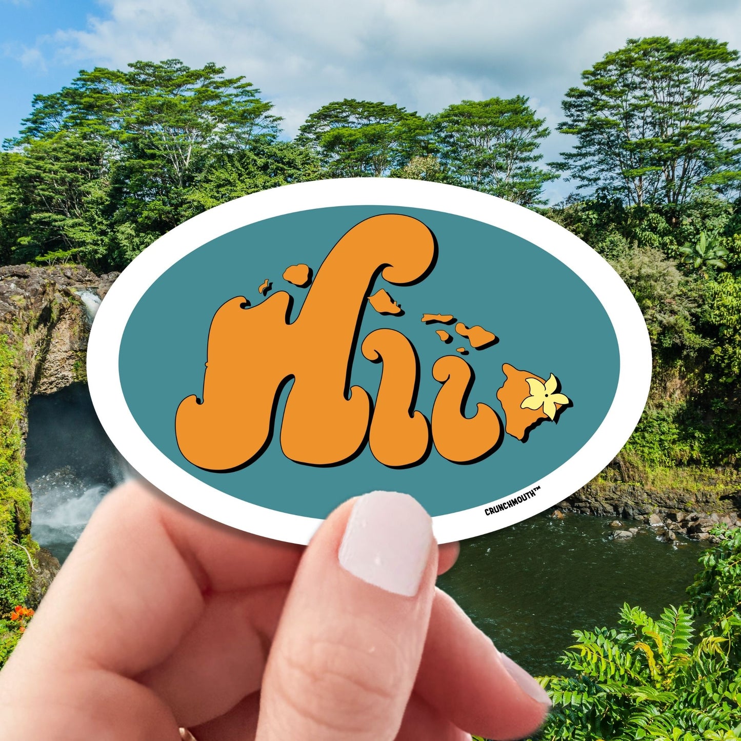 hilo hawaii travel luggage sticker, hand display, hilo background