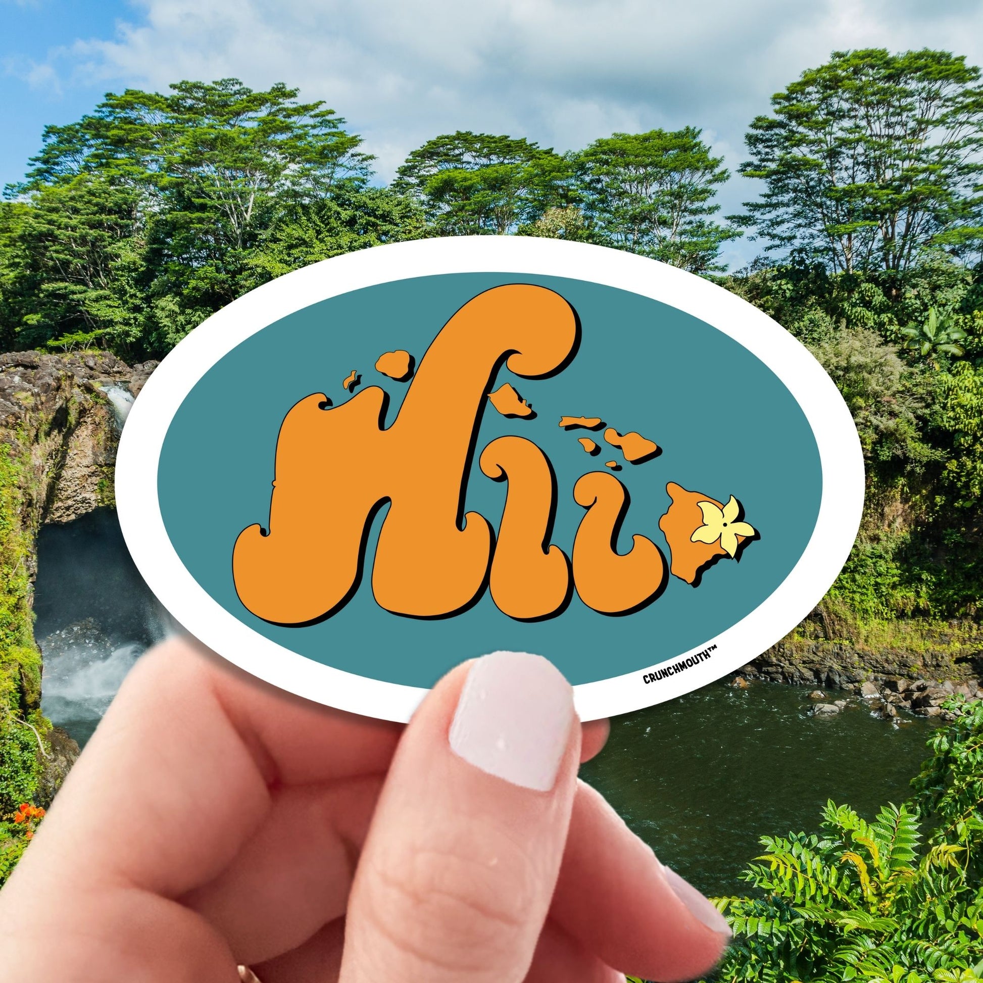 hilo hawaii travel luggage sticker, hand display, hilo background