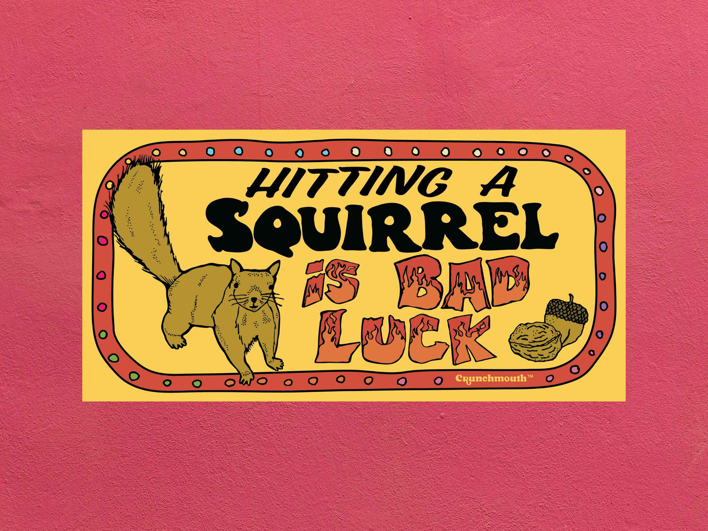 hitting a squirrel is bad luck, funny bumper stickers, rose textured background