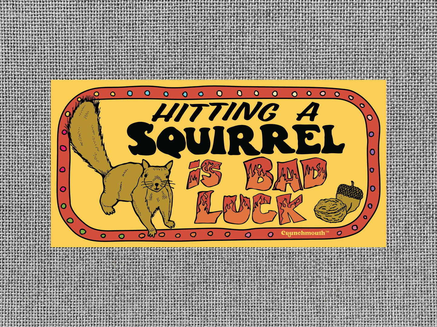 hitting a squirrel is bad luck, funny bumper stickers, gray textured background