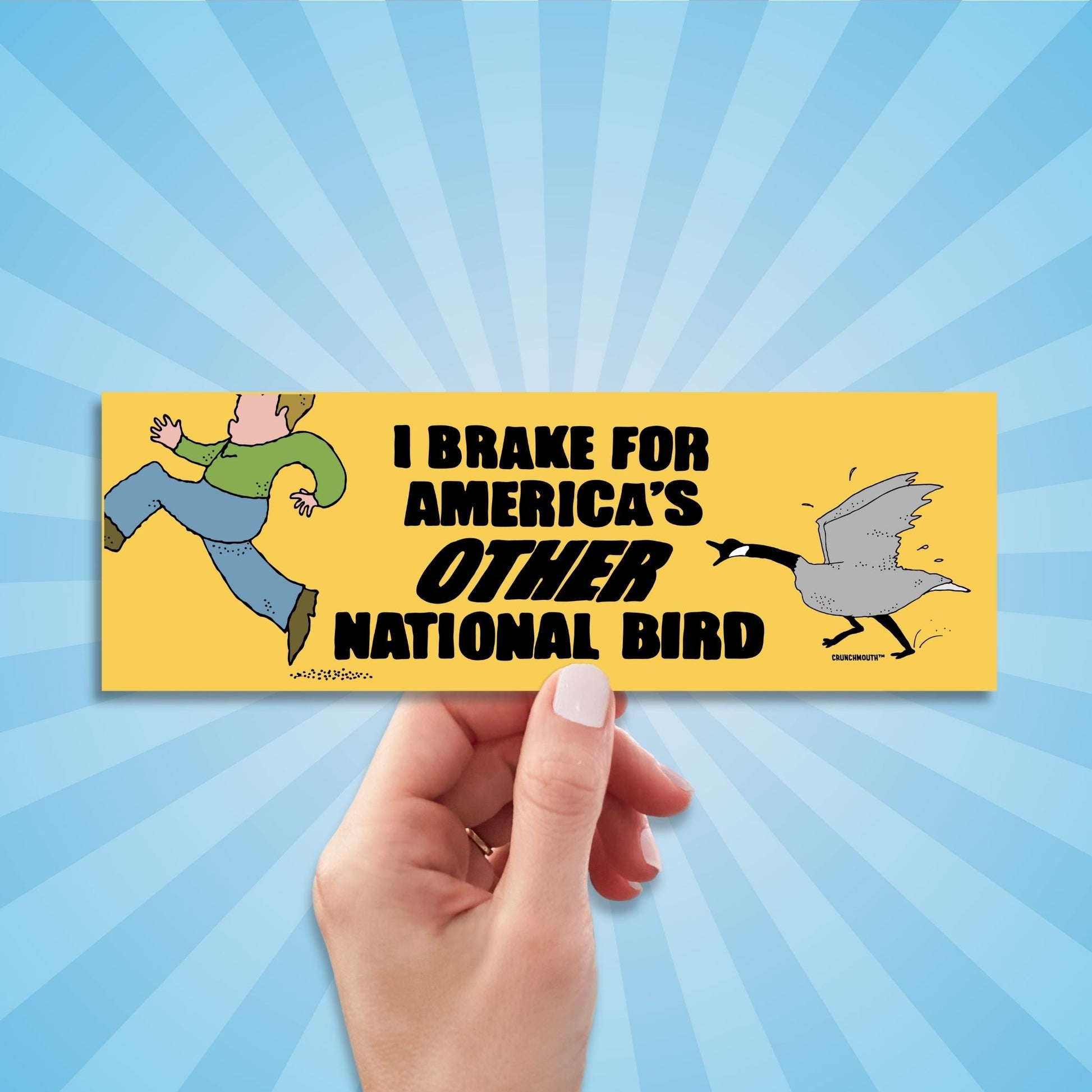 i brake for america's other national bird, funny canada goose bumper sticker, sun rays design background
