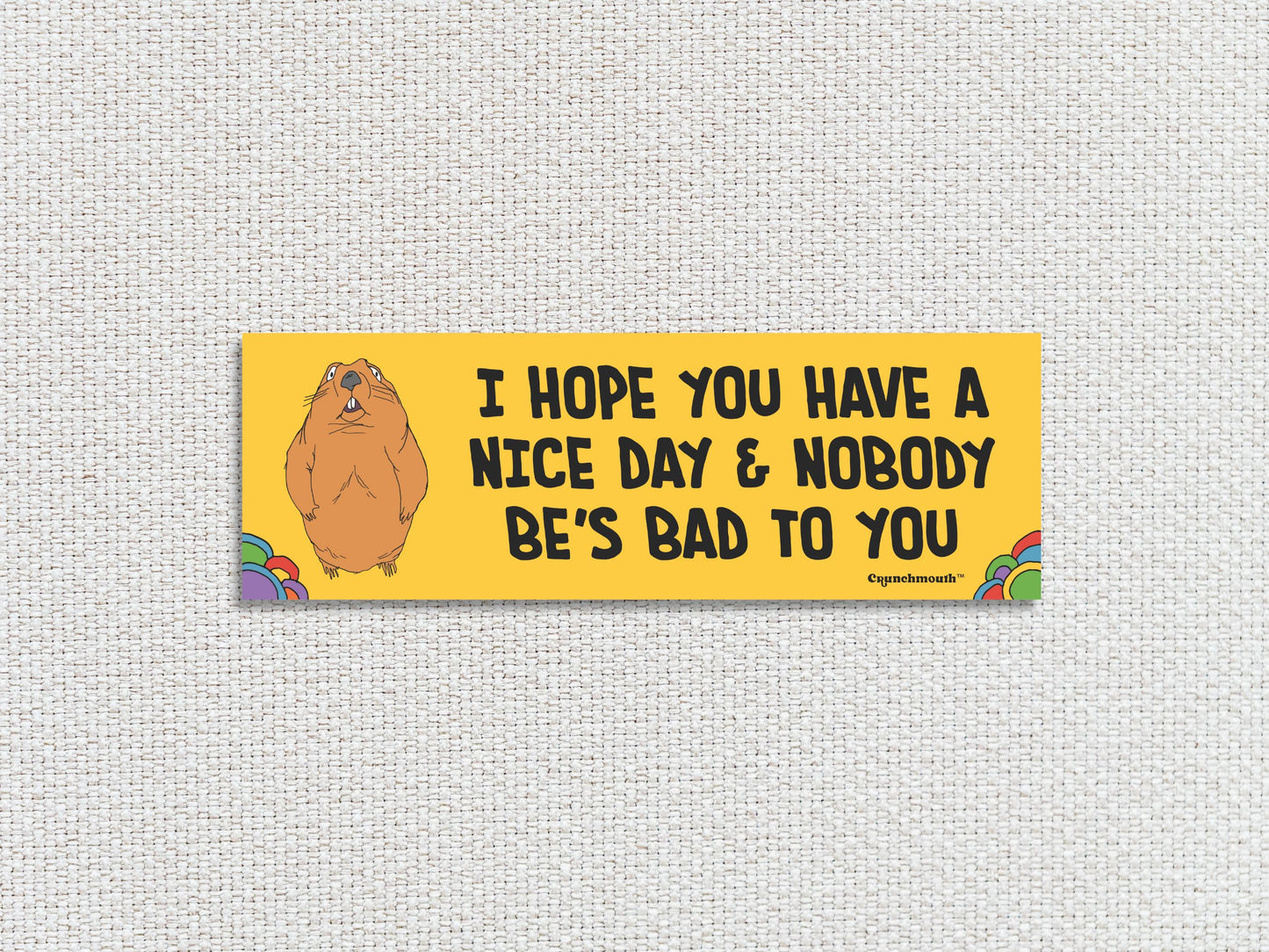i hope you have a nice day and nobody be's bad to you, funny groundhog bumper sticker, white textured background