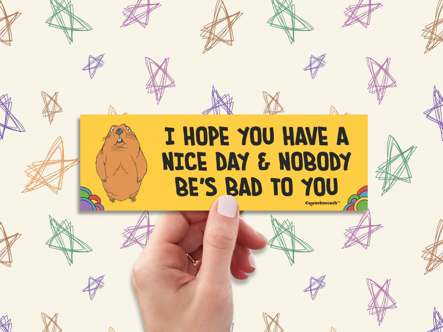 i hope you have a nice day and nobody be's bad to you, funny groundhog bumper sticker, doodle stars background