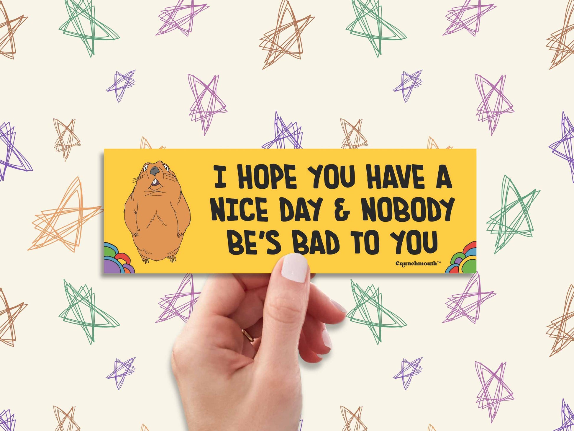 i hope you have a nice day and nobody be's bad to you, funny groundhog bumper sticker, doodle stars background