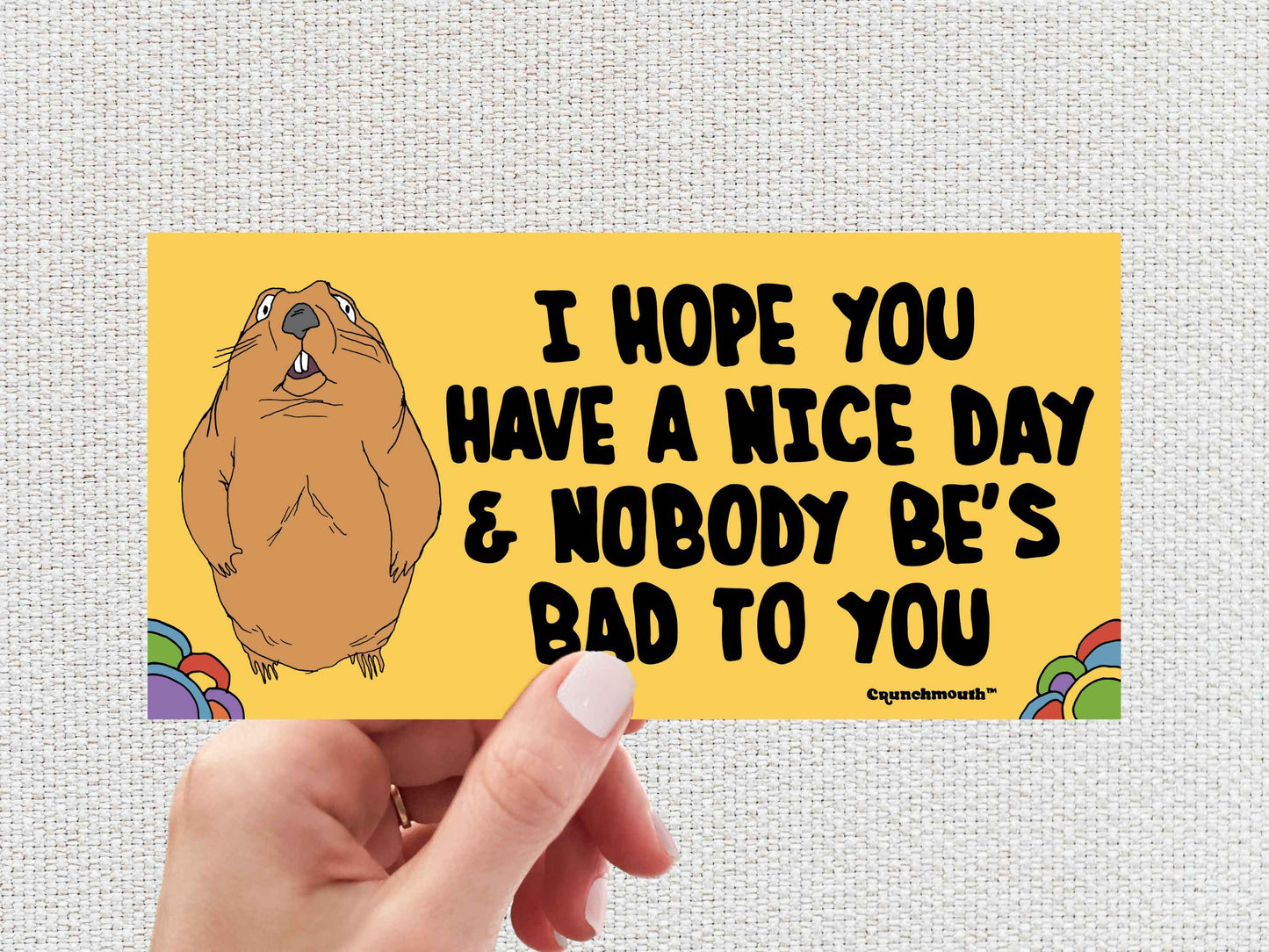 i hope you have a nice day and nobody be's bad to you, funny groundhog bumper sticker, hand display, white textured background