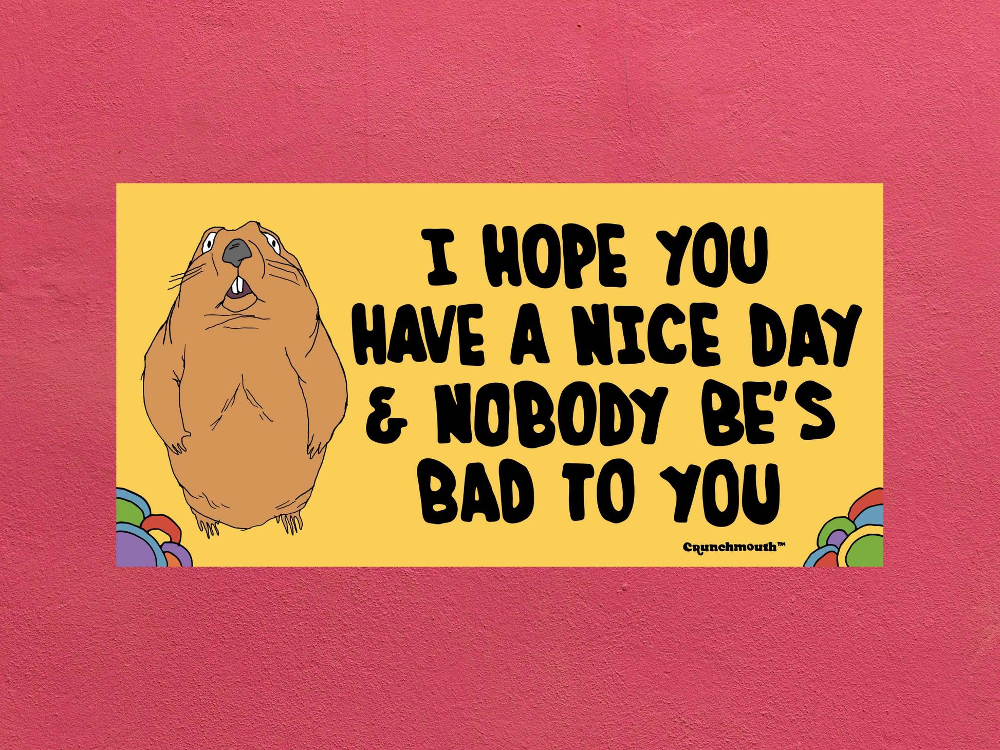 i hope you have a nice day and nobody be's bad to you, funny groundhog bumper sticker, rose color textured background