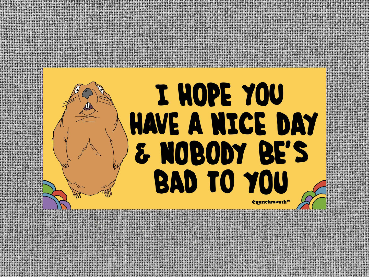 i hope you have a nice day and nobody be's bad to you, funny groundhog bumper sticker, gray textured background