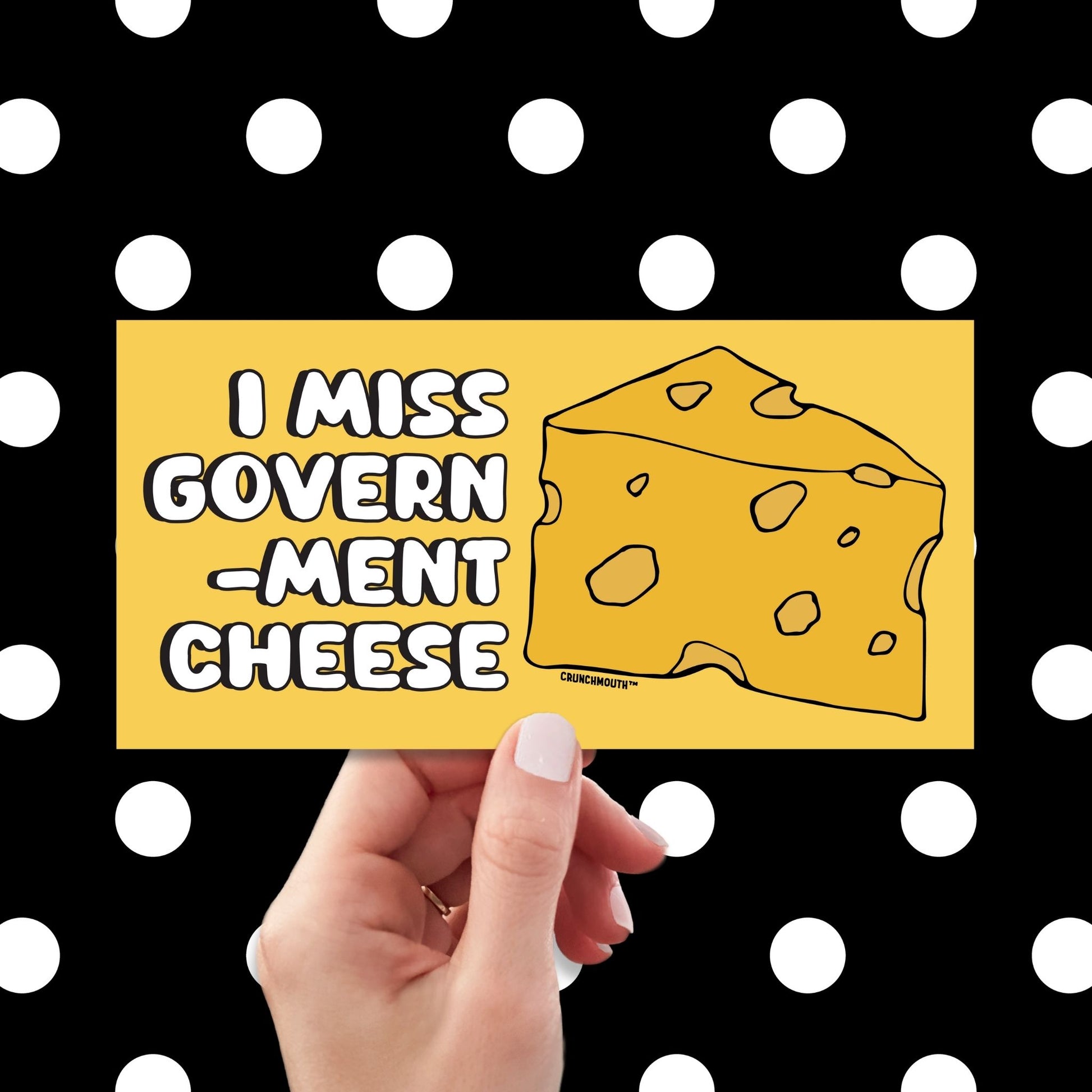 i miss government cheese bumper sticker, hand display, polka dots pattern design background