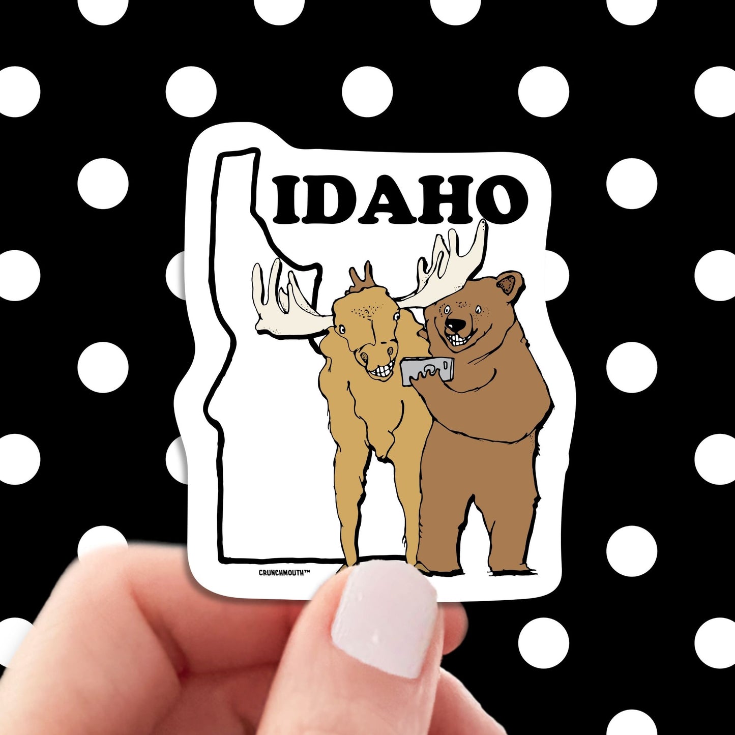idaho travel luggage sticker, hand display, polka dots pattern design background