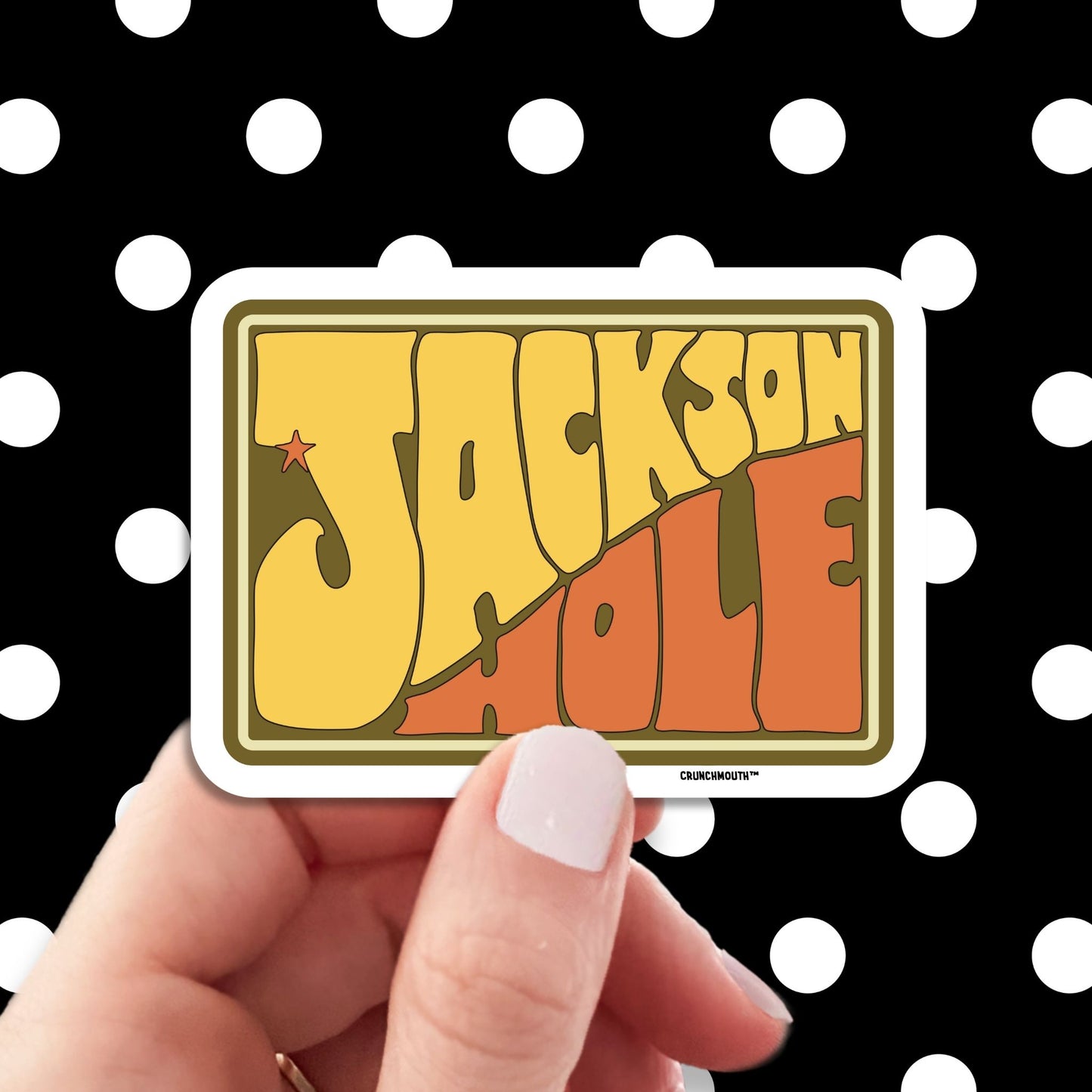 jackson hole wyoming travel luggage sticker, hand display, polka dots pattern design background