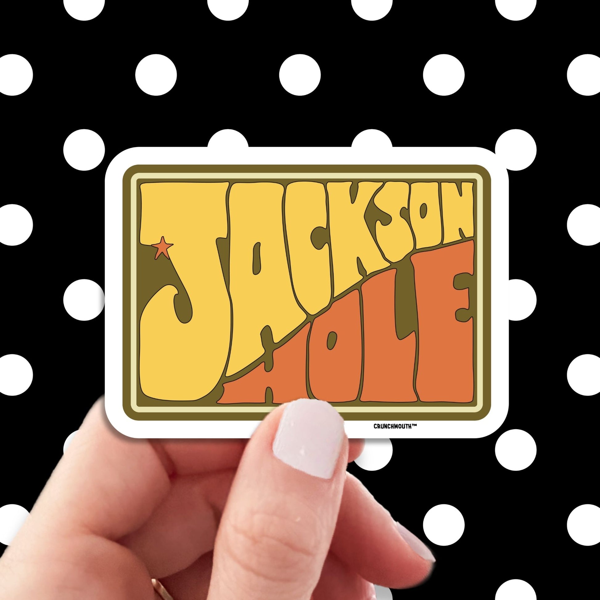 jackson hole wyoming travel luggage sticker, hand display, polka dots pattern design background
