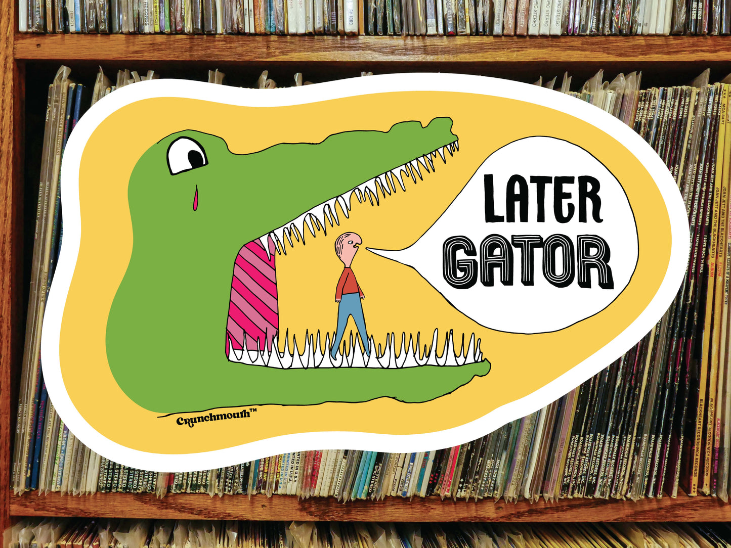 see you later alligator sticker, vinyl record shelf background