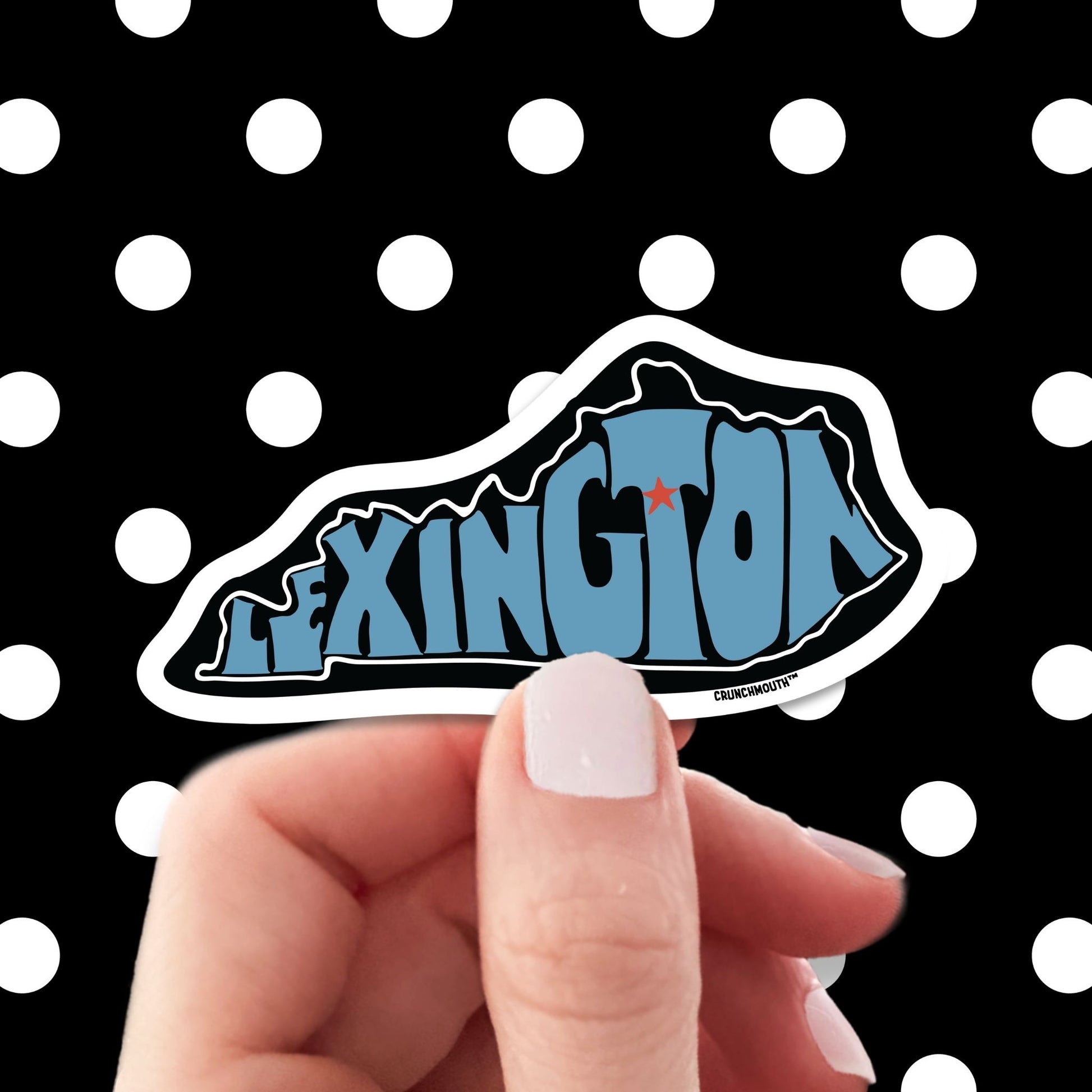lexington travel luggage sticker, hand display, polka dots pattern design background