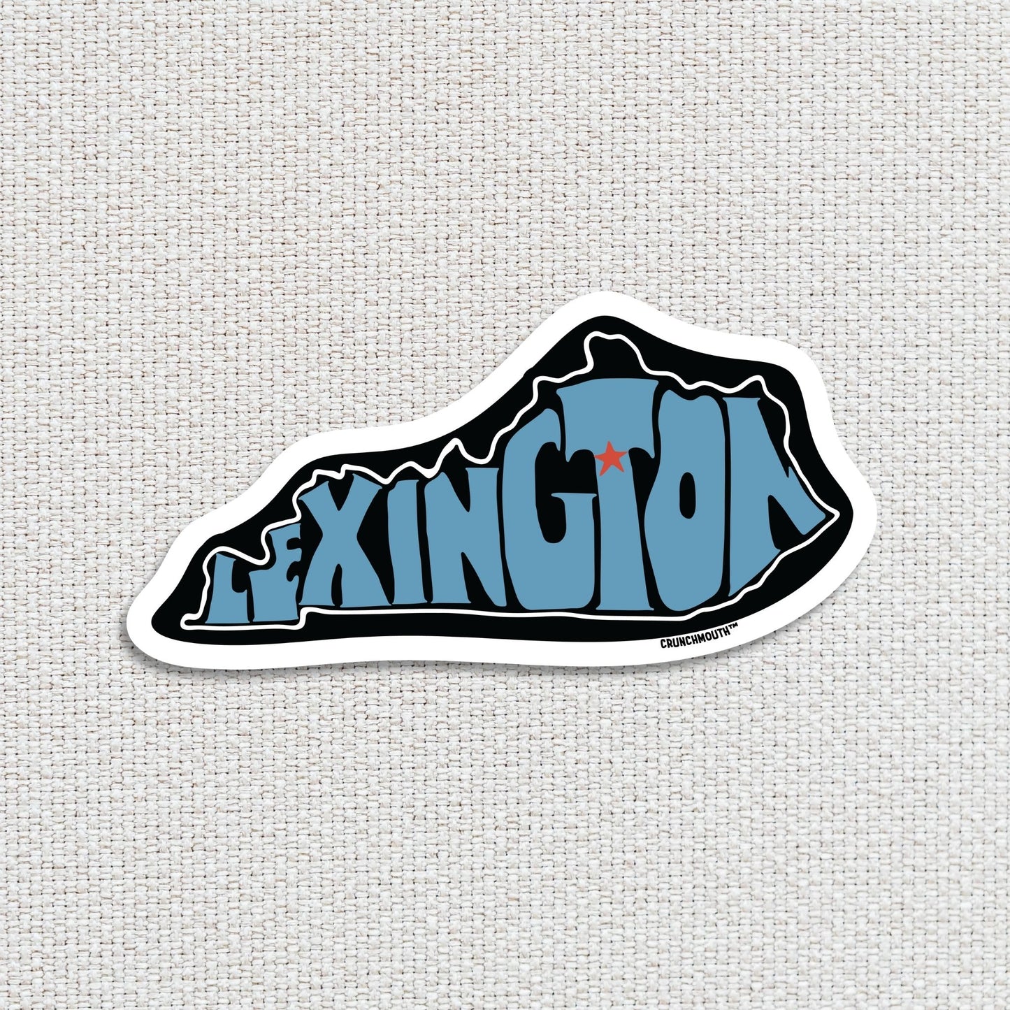 lexington travel luggage sticker, hand display, textured fabric background