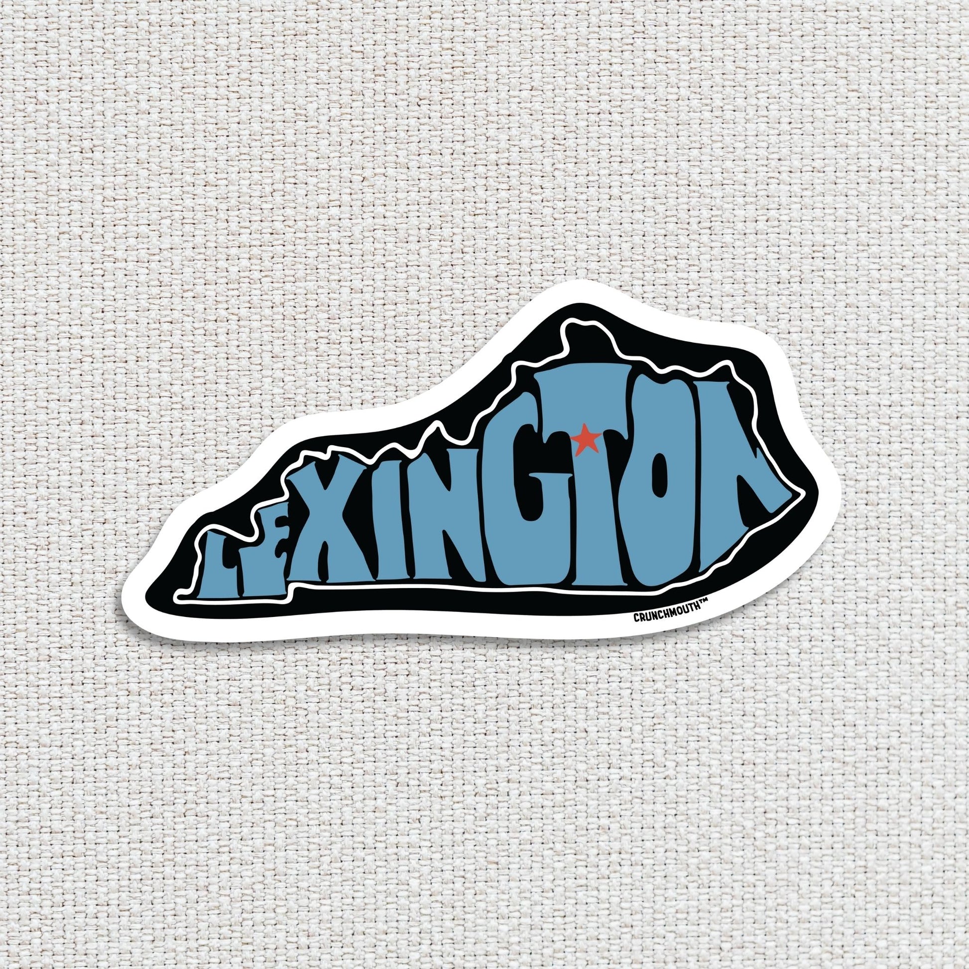 lexington travel luggage sticker, hand display, textured fabric background