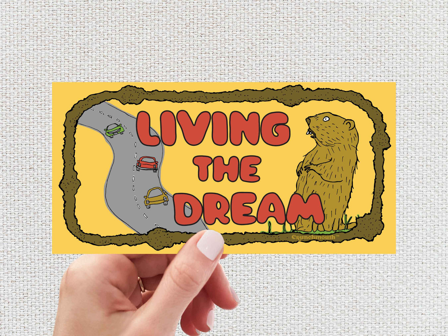 living the dream bumper sticker, funny groundhog sticker, hand display, white textured background