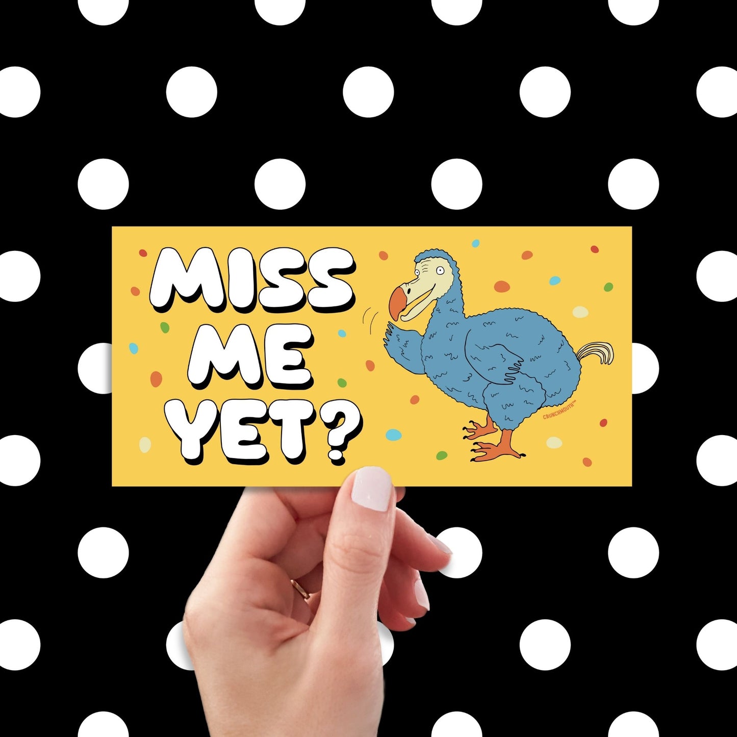 dodo bird bumper sticker, miss me yet?, funny bumper stickers, hand display, polka dots pattern design background