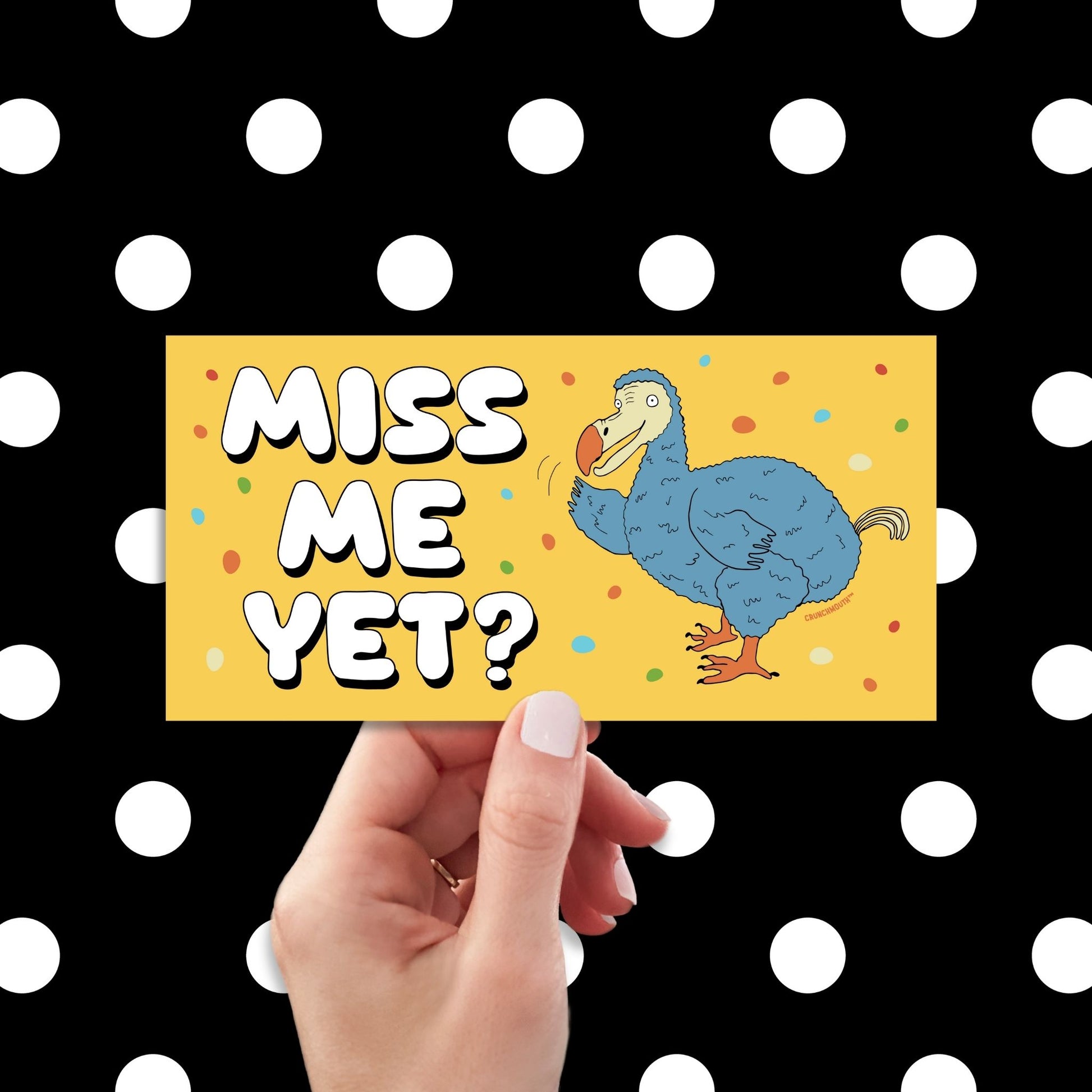 dodo bird bumper sticker, miss me yet?, funny bumper stickers, hand display, polka dots pattern design background