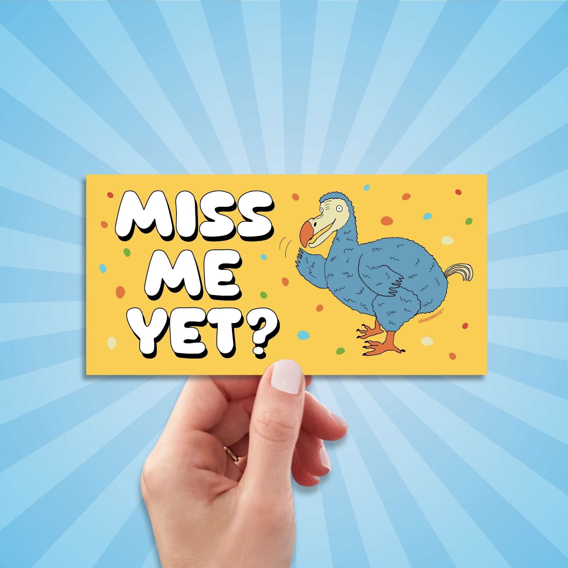 dodo bird bumper sticker, miss me yet?, funny bumper stickers, hand display, sun rays design background