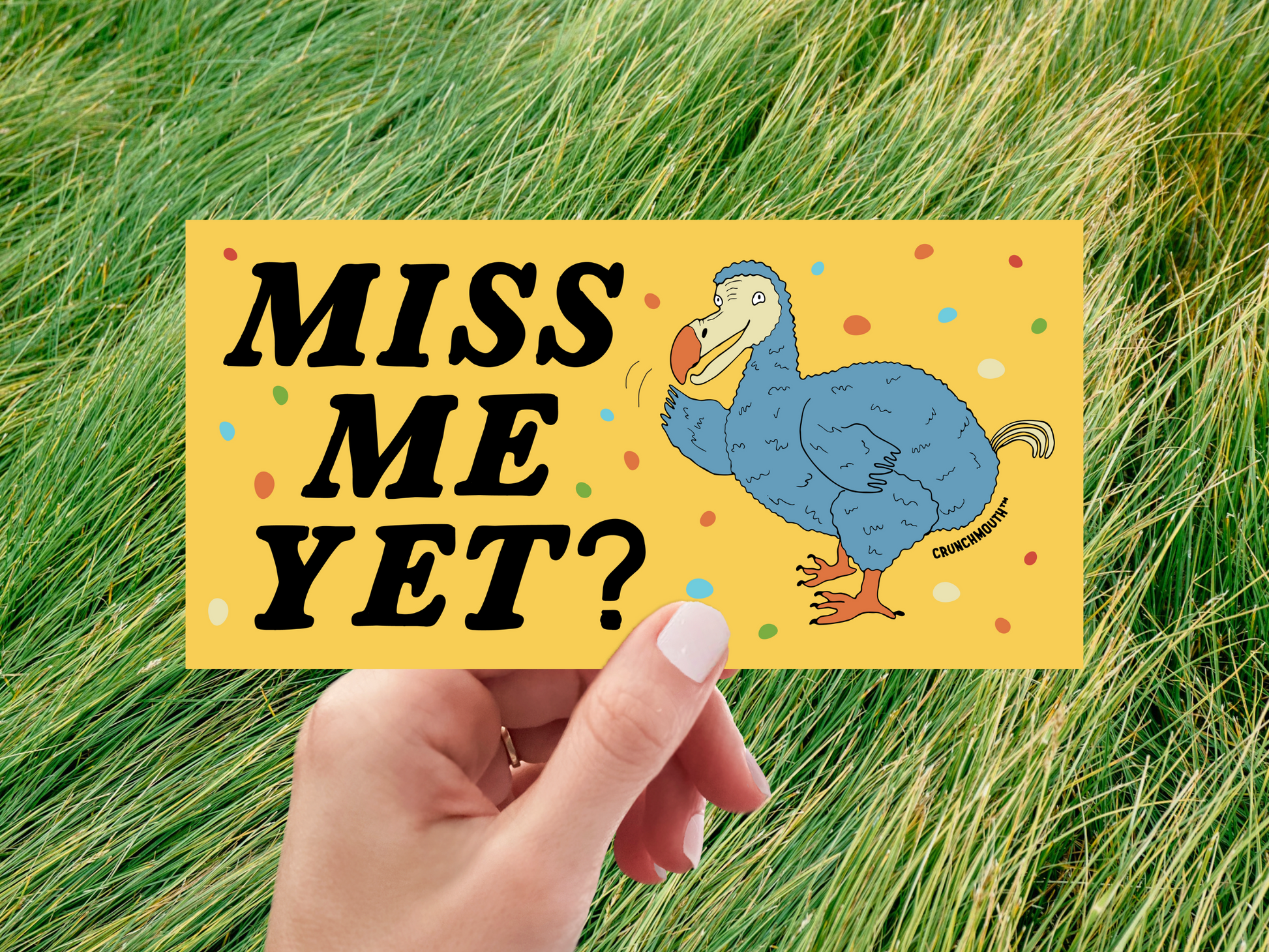 dodo bird bumper sticker, miss me yet?, funny bumper stickers, hand display, grass background