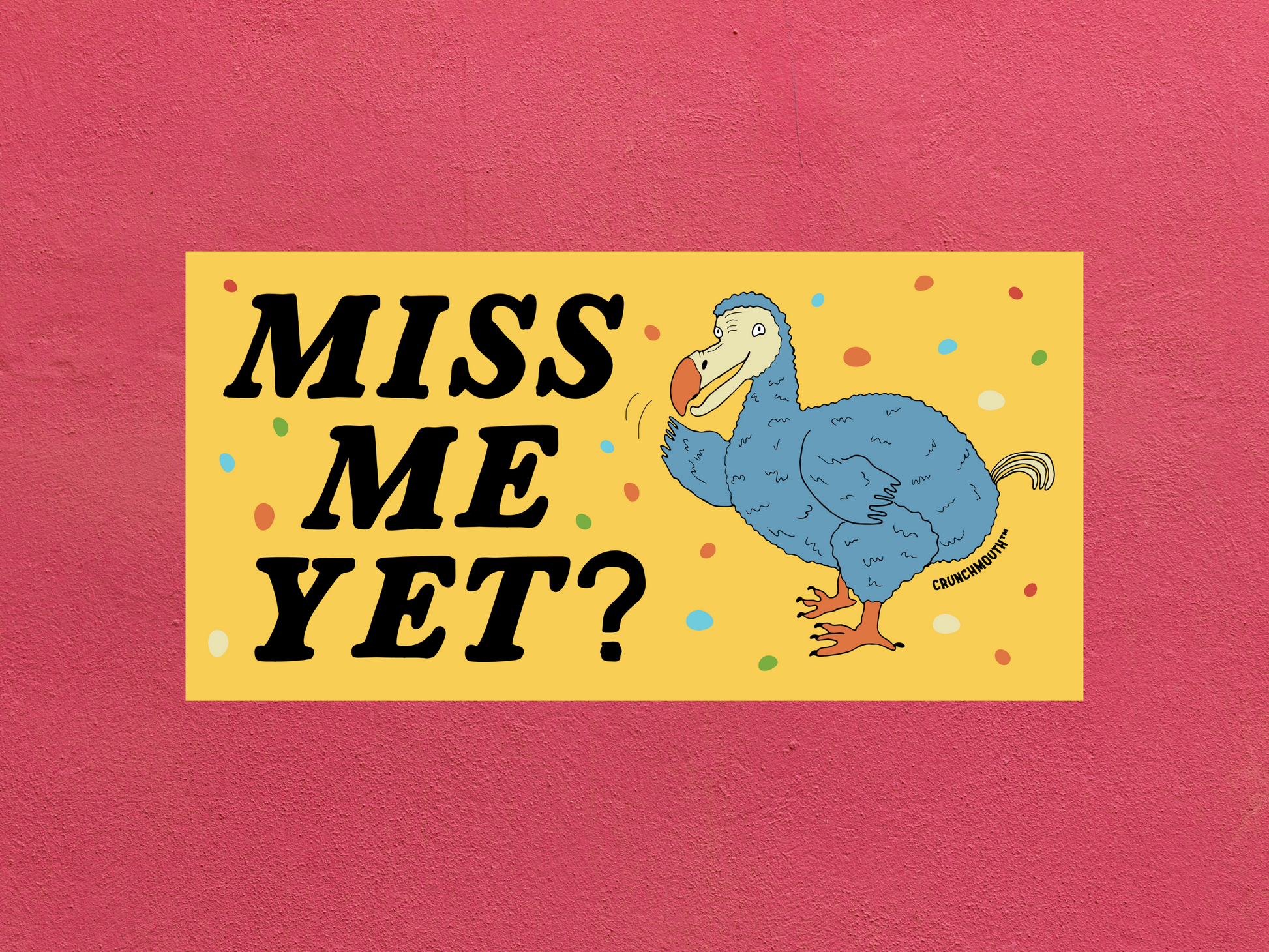 dodo bird bumper sticker, miss me yet?, funny bumper stickers, rose color textured background